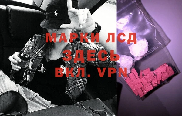 хмурый Алексин
