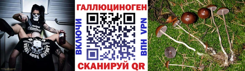 Галлюциногенные грибы Psilocybe  Когалым 